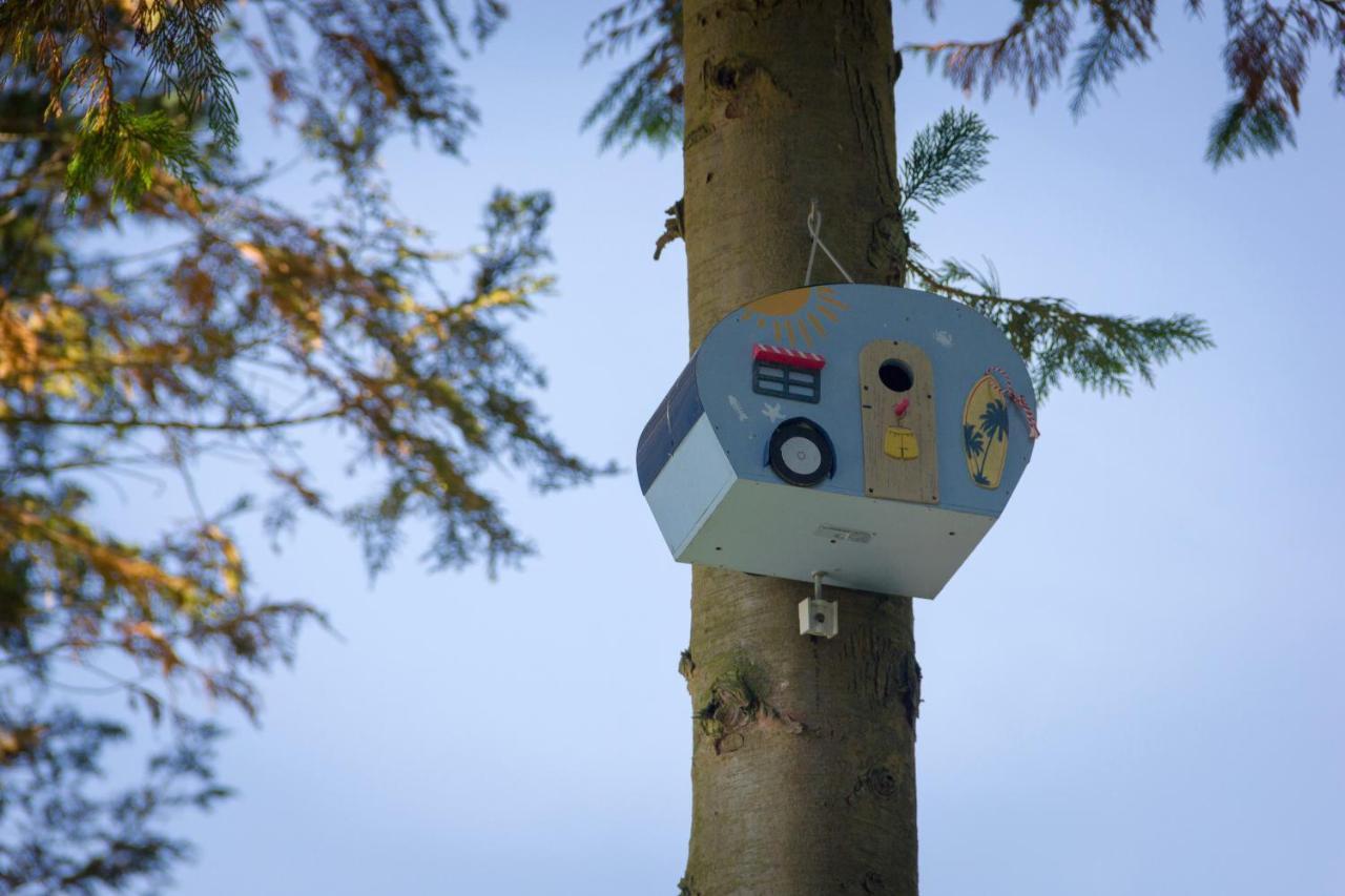 Camping Het Vossenhol Ermelo Dış mekan fotoğraf